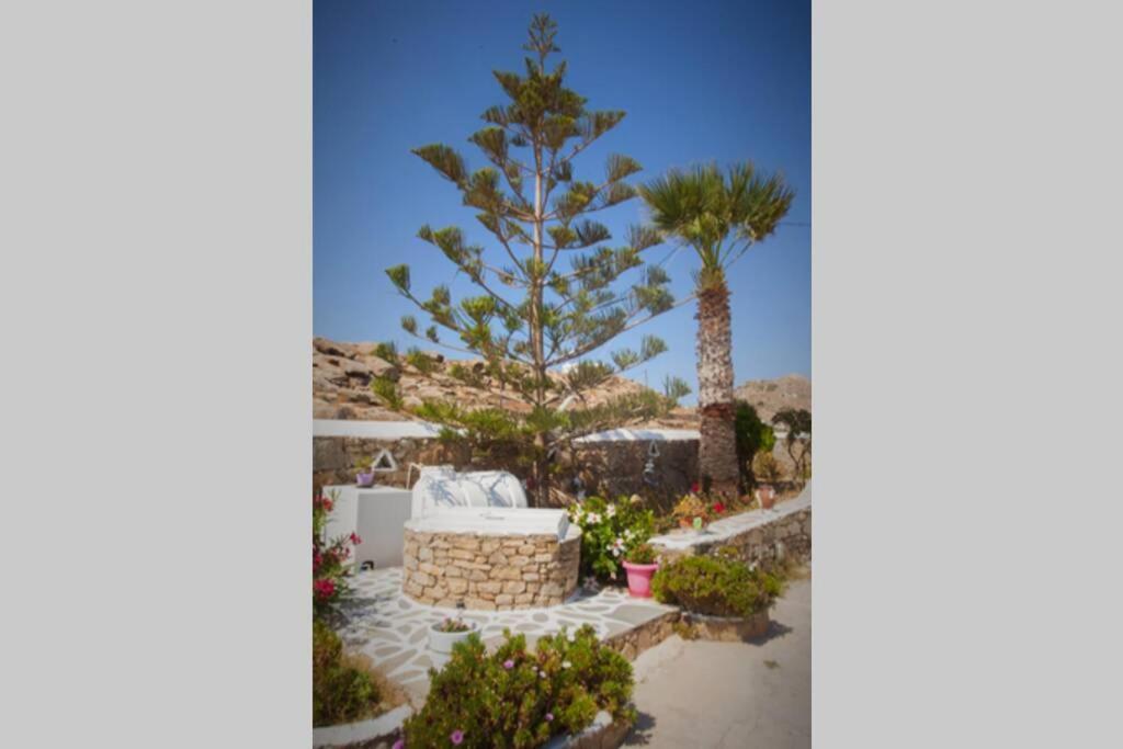 White Dreams Studio Mykonos Town エクステリア 写真